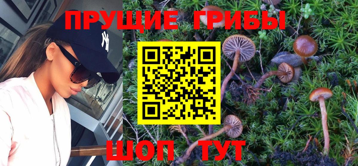 Псилоцибиновые грибы мухоморы Котельники
