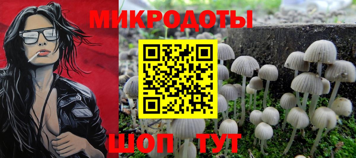 Котельники  Псилоцибиновые грибы Psilocybe  Галлюциногенные грибы ЛСД  Вход с VPN 