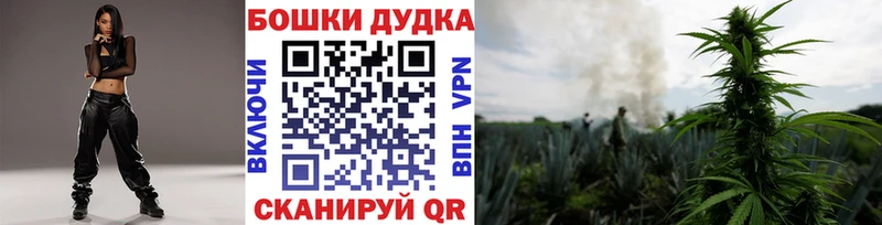 Конопля гибрид  Котельники 